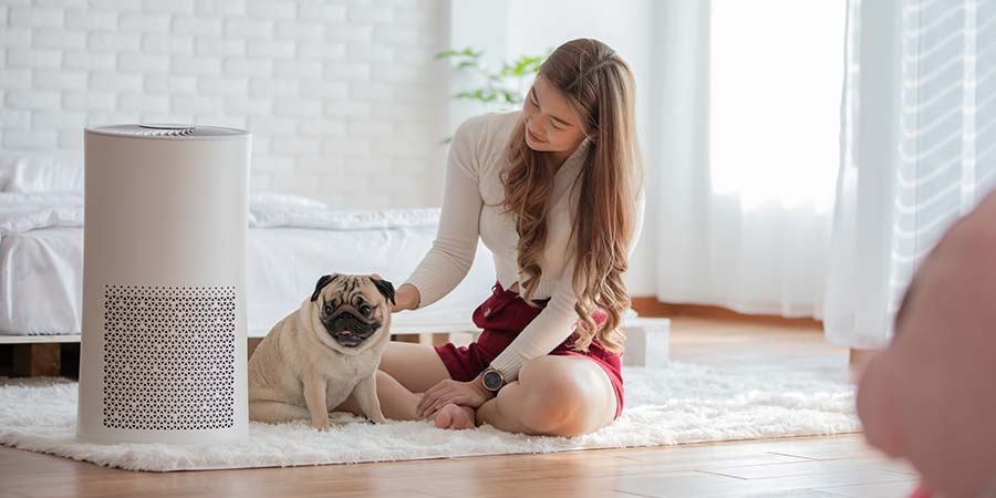 Woman With Pug And Air Purifier